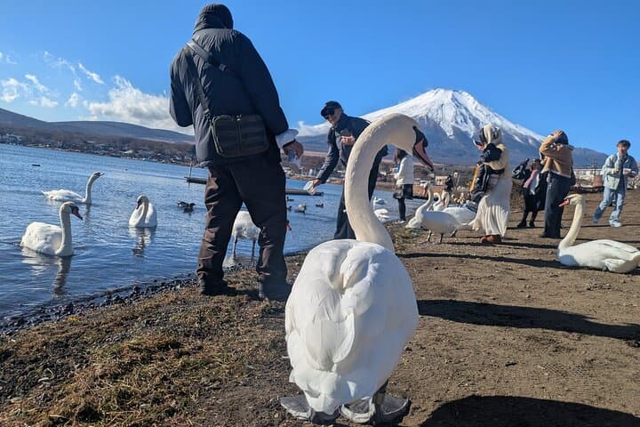 Lake Kawaguchi : Exclusive Private Customized Tour w/ Local Guide — photo 15