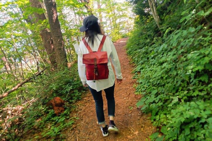 Easternmost Point of Japan mainland, Michinoku Coastal Trail Hike — photo 4