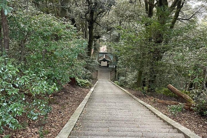 Spanish Tours in Kyoto Osaka and Nara — photo 5