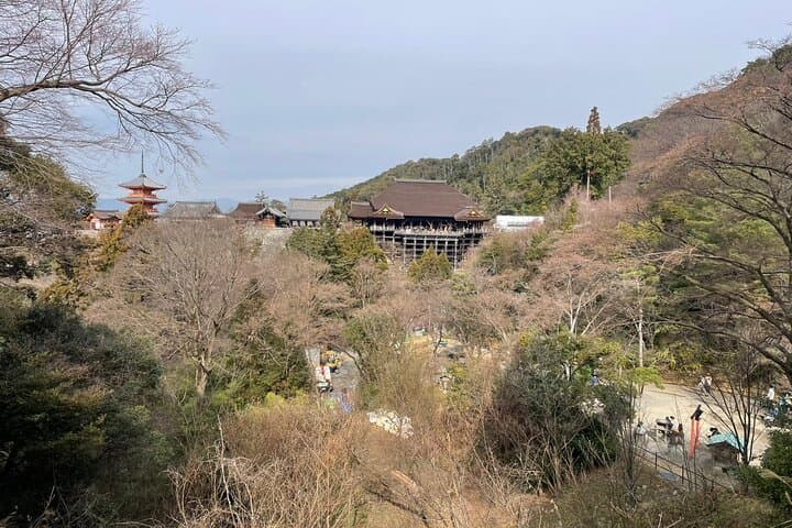 Spanish Tours in Kyoto Osaka and Nara — photo 6