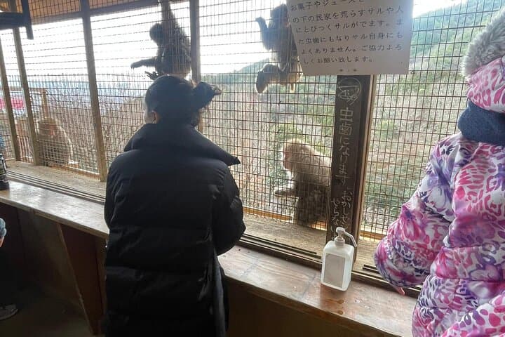 Spanish Tours in Kyoto Osaka and Nara — photo 9