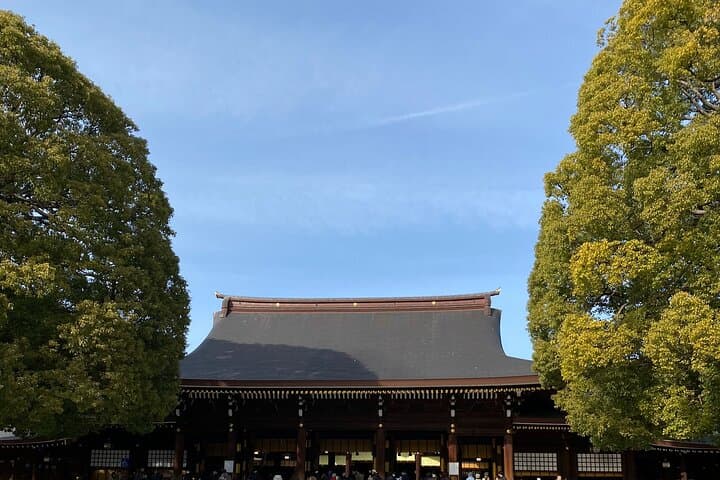 Pray Like a Local at Meiji Shrine – Guided Tour with Sake Barrels — photo 17