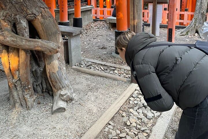 Spanish Tours in Kyoto Osaka and Nara — photo 14