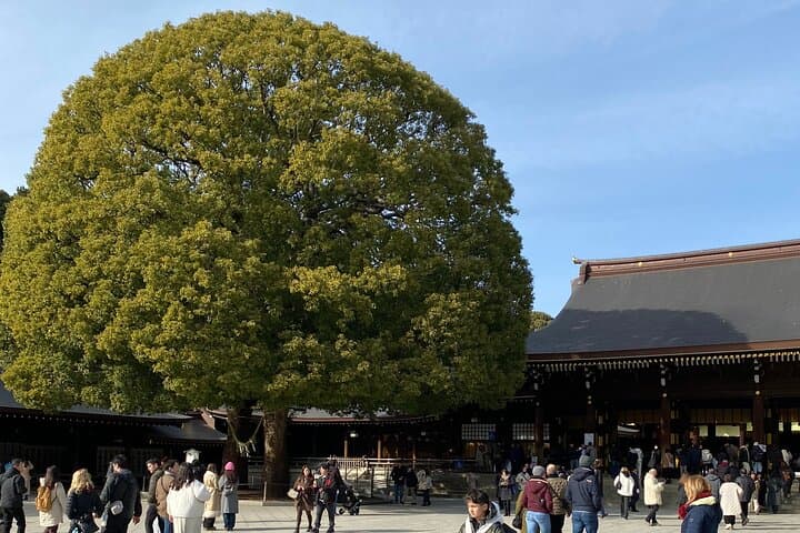 Pray Like a Local at Meiji Shrine – Guided Tour with Sake Barrels — photo 16