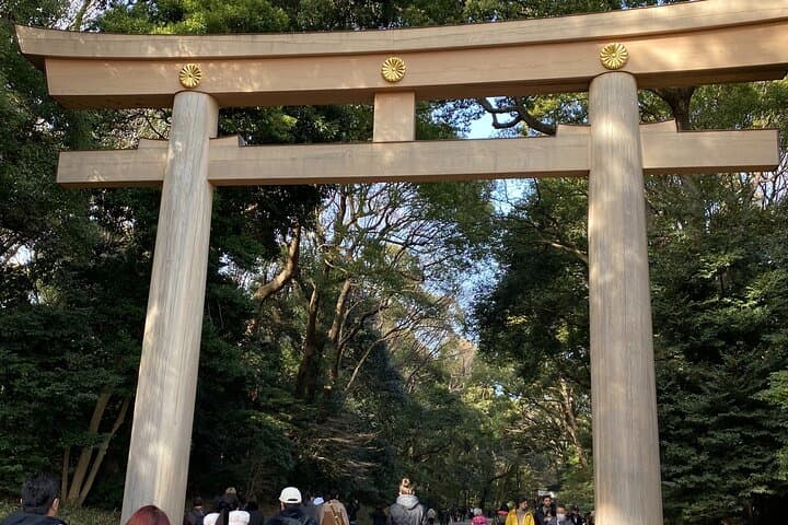 Pray Like a Local at Meiji Shrine – Guided Tour with Sake Barrels