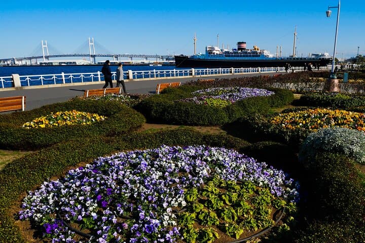 Walking Private Tour of Yokohama Cosmo World — photo 3