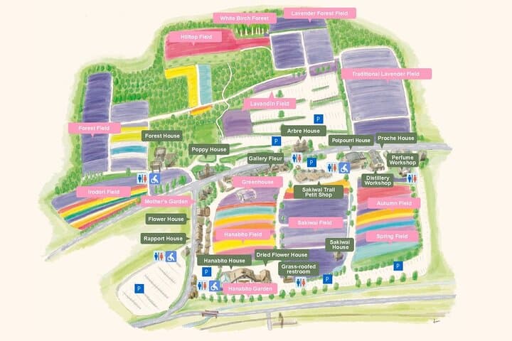 Sapporo Private Tour: Farm Tomita, Blue Pond & Biei Flowers — photo 9