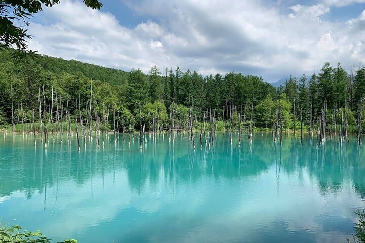 Sapporo Private Tour: Farm Tomita, Blue Pond & Biei Flowers — photo 15