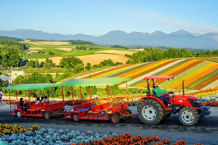 Sapporo Private Tour: Farm Tomita, Blue Pond & Biei Flowers — photo 11