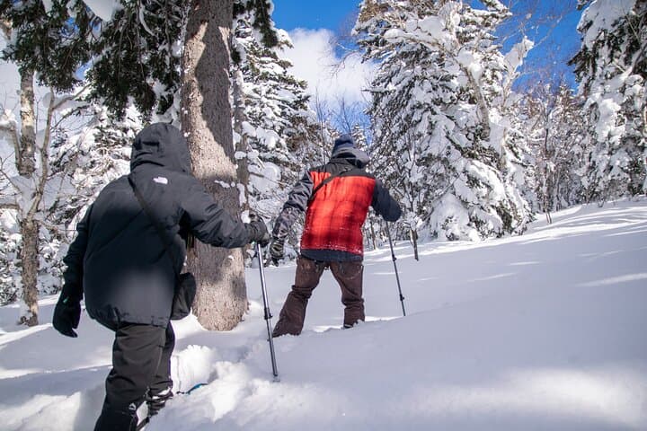 Snowshoe Adventures and Onsen Bliss Winter Escape in Furano — photo 8
