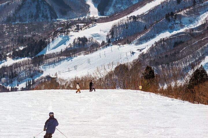Private Van Transport Between Tokyo and Nagano — photo 3
