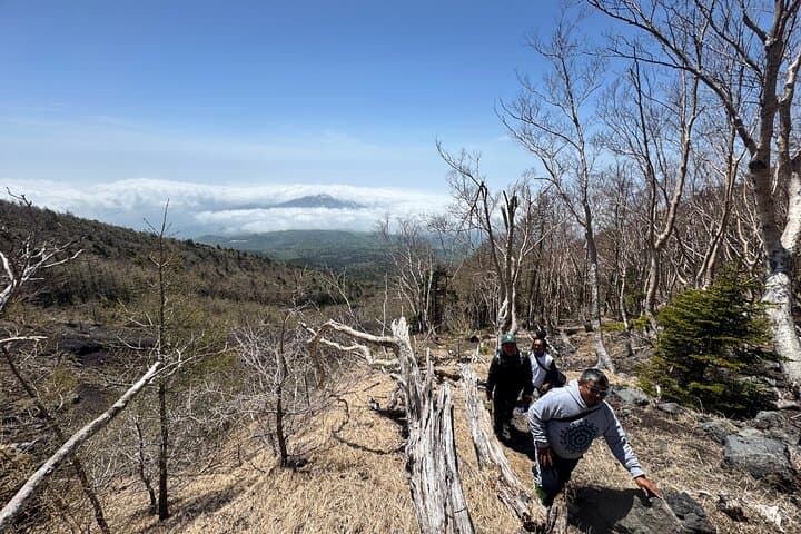 Private Mt. Fuji Hoei Crater Hiking and Sightseeing Tour — photo 6