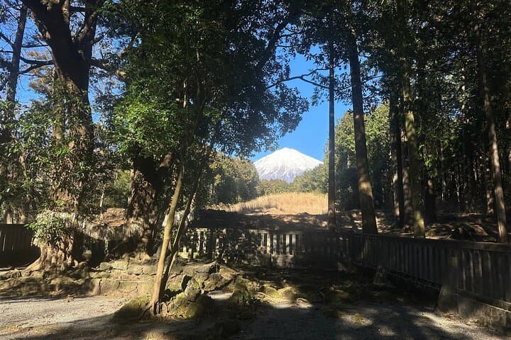 Private Mt. Fuji Hoei Crater Hiking and Sightseeing Tour — photo 10