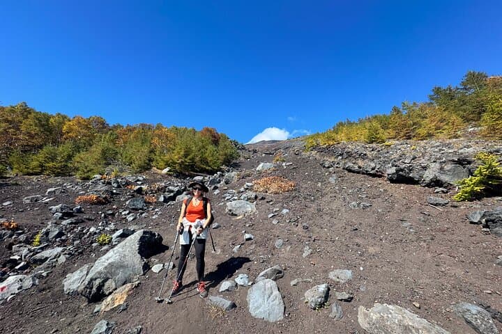 Private Mt. Fuji Hoei Crater Hiking and Sightseeing Tour — photo 19