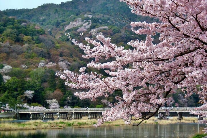 Kyoto: Arashiyama UNESCO Walking Tour with Admission — photo 2