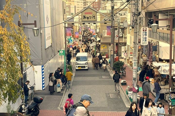 Tokyo Shinjuku Giant 3D, Cat Cafe & Yanaka Cat Town for Cat Lover — photo 8