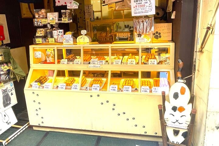 Tokyo Shinjuku Giant 3D, Cat Cafe & Yanaka Cat Town for Cat Lover — photo 17