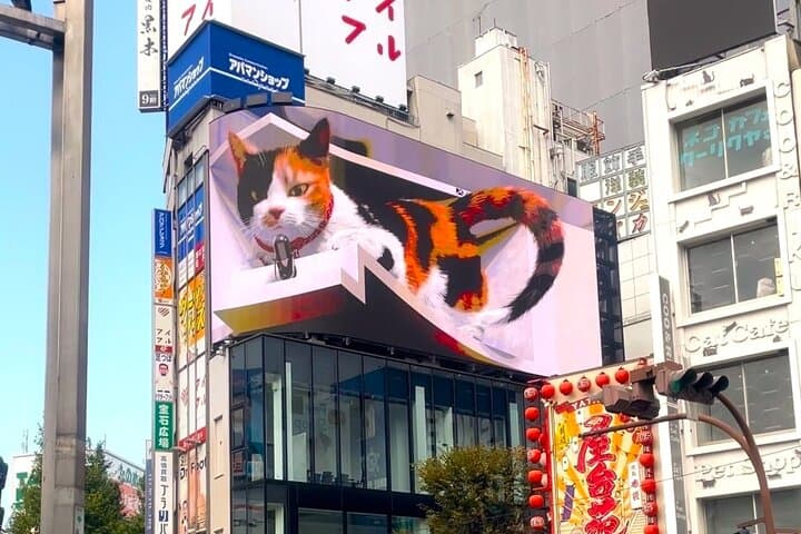 Tokyo Shinjuku Giant 3D, Cat Cafe & Yanaka Cat Town for Cat Lover — photo 14
