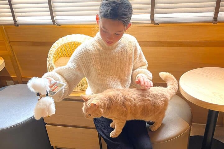 Tokyo Shinjuku Giant 3D, Cat Cafe & Yanaka Cat Town for Cat Lover — photo 7