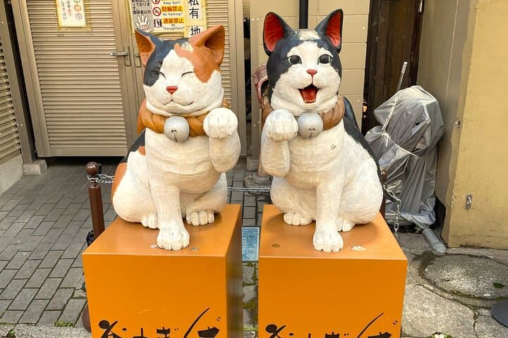 Tokyo Shinjuku Giant 3D, Cat Cafe & Yanaka Cat Town for Cat Lover — photo 19