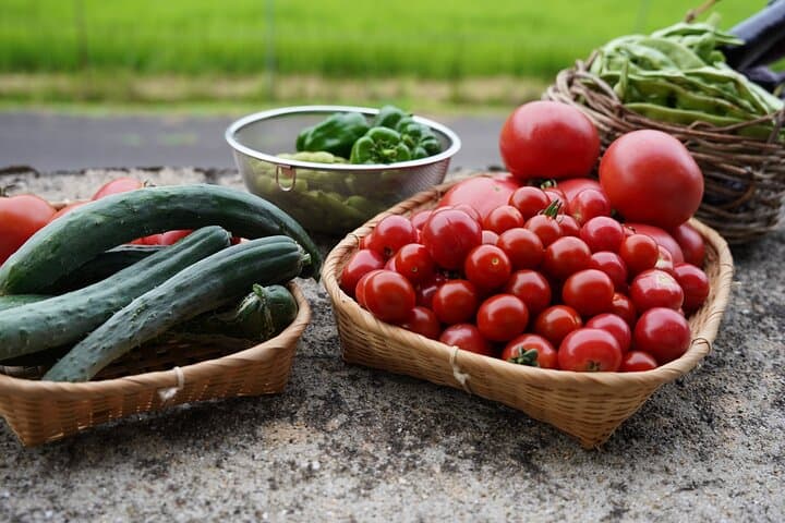 Hiroshima Garden to Table Cooking Class — photo 3