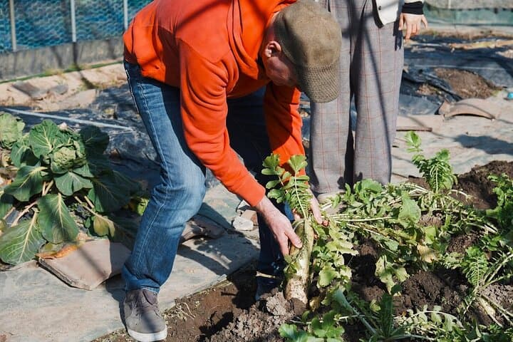 Hiroshima Garden to Table Cooking Class — photo 2