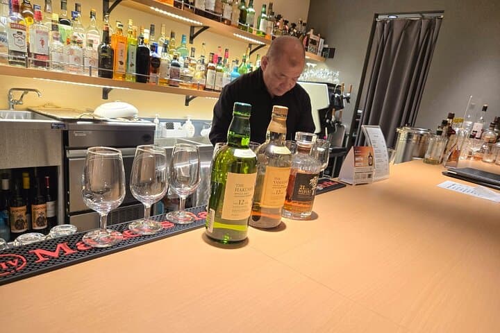 Kyoto Cityscapes & Bar Hopping — photo 10