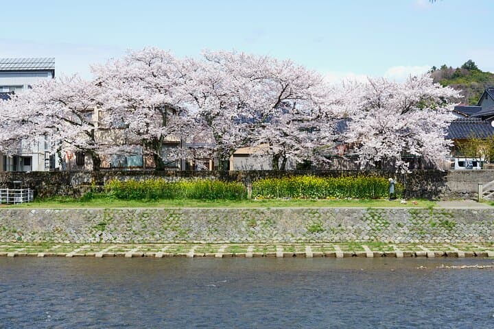 The historic districts of Kanazawa, Samurai & Geishas — photo 3