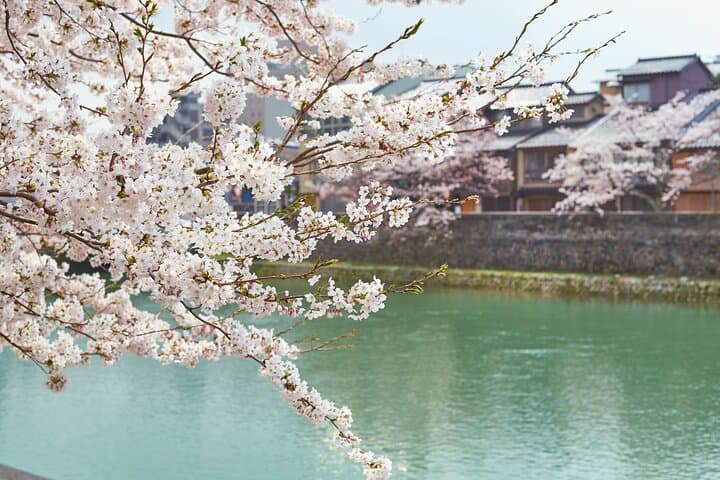 The historic districts of Kanazawa, Samurai & Geishas — photo 6