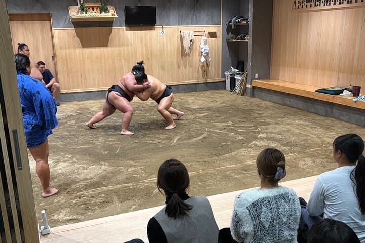 Experience Sumo Up Close — photo 1