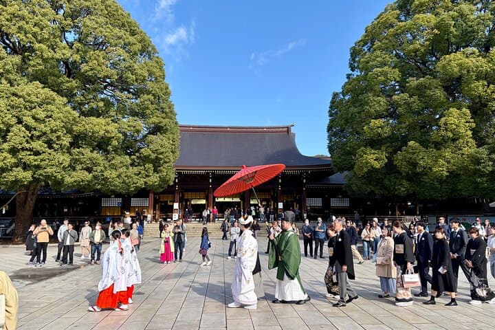 Tokyo Private 6-Hour Car Tour with English-Speaking Guide — photo 8