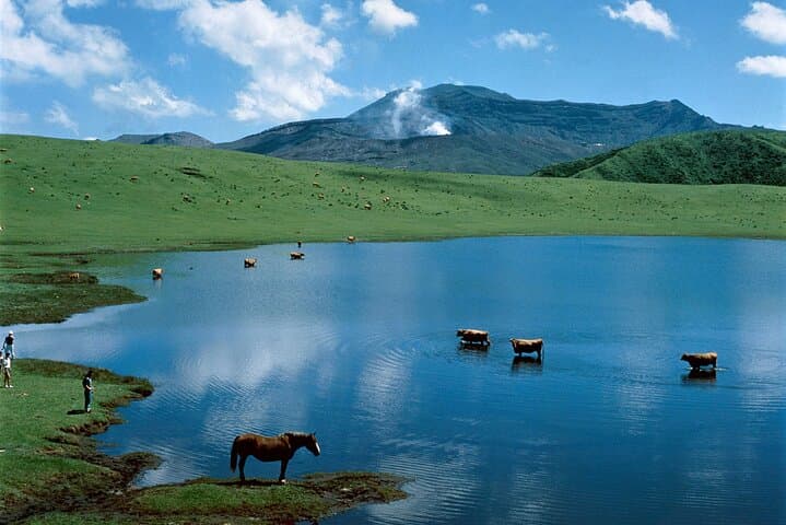 From Kumamoto : Mt.Aso and Takachiho All-inclusive Private Tour — photo 3