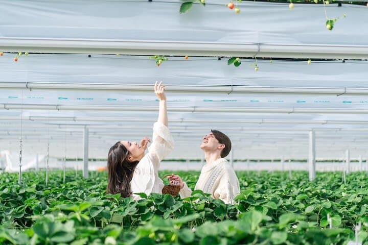 YokaBus Fukuoka Uminonakamichi, Strawberry Farm and Chinkokuji — photo 2