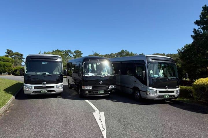 Minivan Transfer from Kansai Airport to Osaka — photo 4