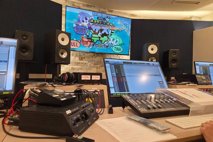 Anime Voice Acting with Guidance from Pros in a Studio — photo 2
