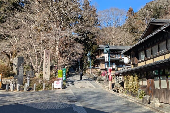 Takao Mountain Guided Tour - Tokyo’s Western Mountains — photo 5