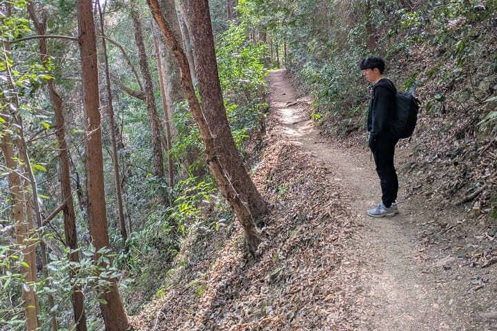 Takao Mountain Guided Tour - Tokyo’s Western Mountains — photo 13