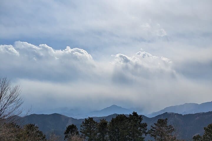 Takao Mountain Guided Tour - Tokyo’s Western Mountains — photo 16