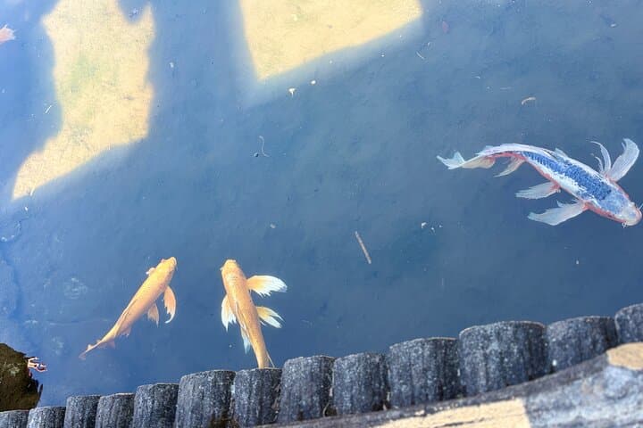Exclusive Private Imperial Palace=Emperor&(SHOGUN)WI TOKYO NATIVE — photo 11