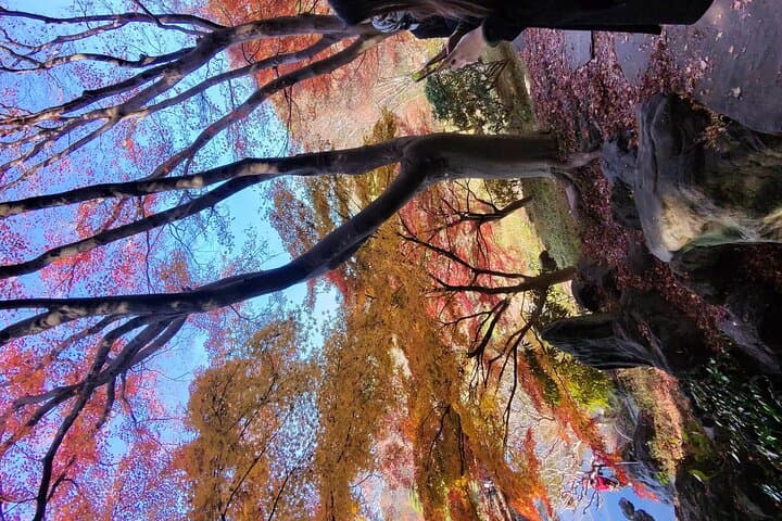 Exclusive Private Imperial Palace=Emperor&(SHOGUN)WI TOKYO NATIVE — photo 20