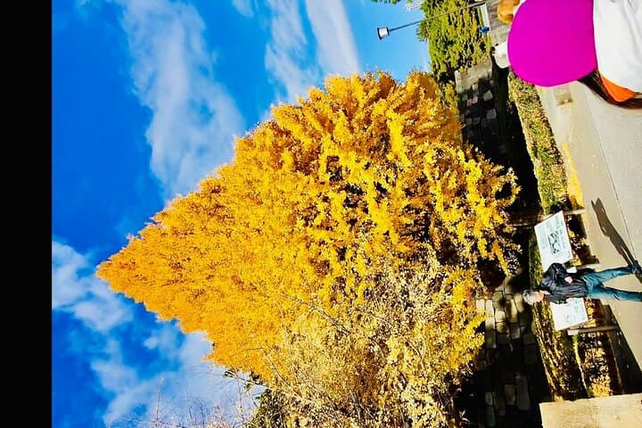 Exclusive Private Imperial Palace=Emperor&(SHOGUN)WI TOKYO NATIVE — photo 17