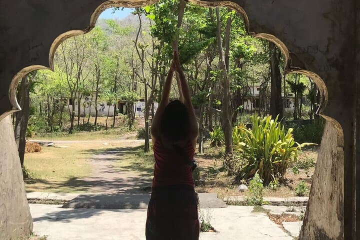 Shinrin yoku Yoga Awakening Breath at Hokkaido Shrine — photo 3
