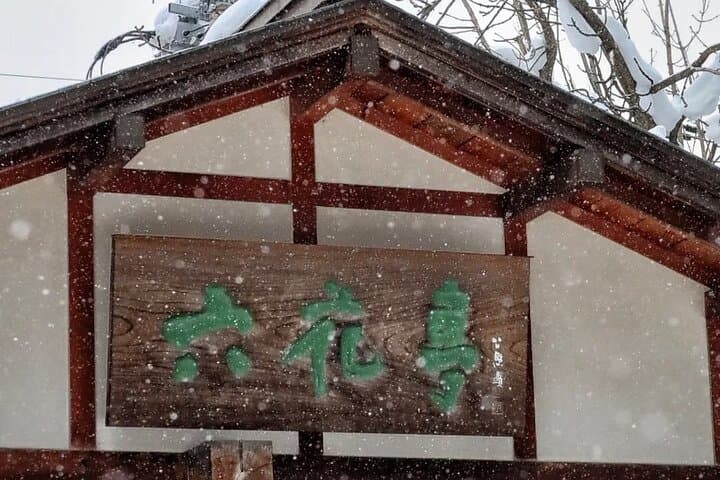 Shinrin yoku Yoga Awakening Breath at Hokkaido Shrine — photo 10