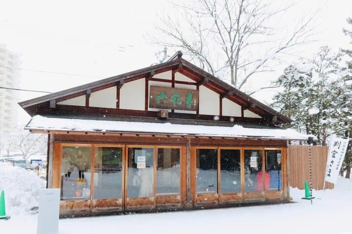 Shinrin yoku Yoga Awakening Breath at Hokkaido Shrine — photo 12