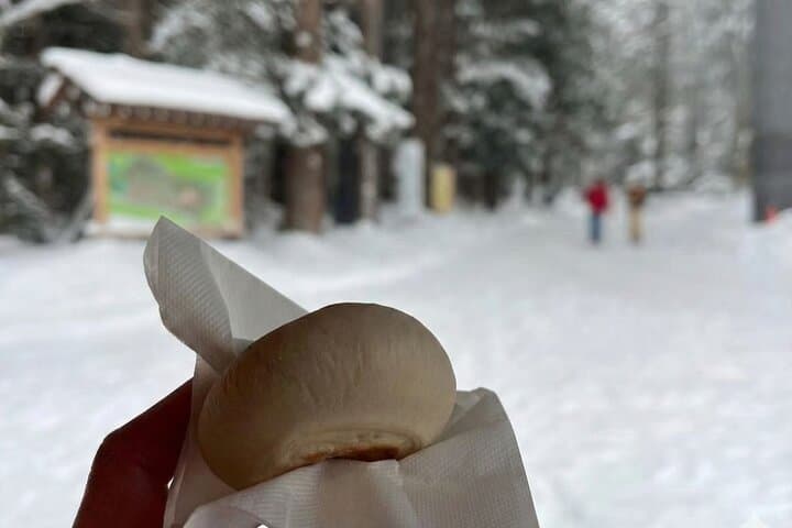 Shinrin yoku Yoga Awakening Breath at Hokkaido Shrine — photo 9