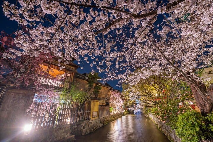 Gion Night Walk Inside Kyoto Unseen World of Geisha — photo 3