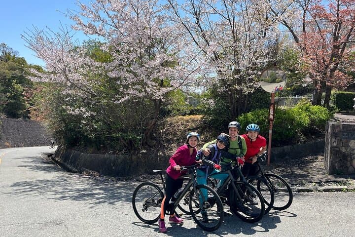 Private E-bike Adventure in Osaka's Hills — photo 4