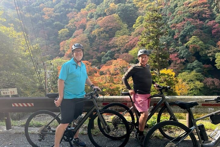 Private E-bike Adventure in Osaka's Hills — photo 7