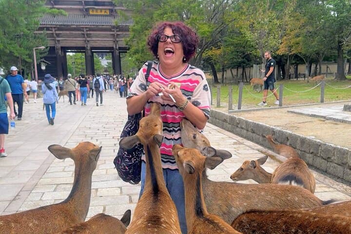 World Heritage Kyoto & Nara Uji Authentic Matcha Experience — photo 2