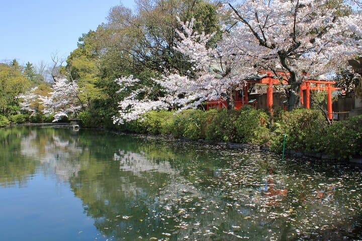 Kyoto Gardens Through the Ages a Peaceful Journey — photo 5